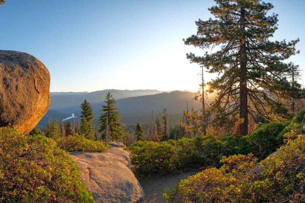Sequoia Splendor, Inside Kings Canyon Np By Visitors Center Wilsonia Экстерьер фото